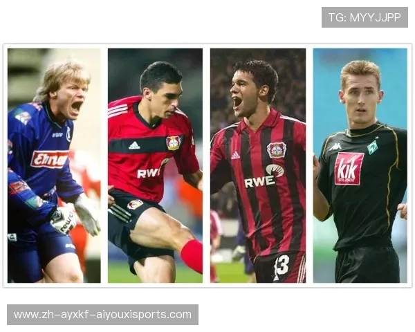 马琳对德甲球队的评价及职业生涯分析